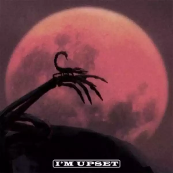 Instrumental: Drake - I’m Upset (Produced By Oogie Mane)